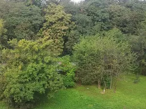 Pronájem bytu 2+kk, Brno, Trýbova, 54 m2