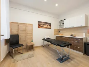 Prodej podílu vícegeneračního domu, Brno, Drobného, 242 m2