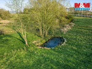 Prodej louky, Orlík nad Vltavou, 2509 m2