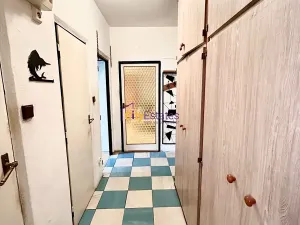 Prodej bytu 2+1, Praha - Záběhlice, Chmelová, 55 m2