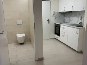 Pronájem bytu 1+kk, Praha - Vinohrady, Nad olšinami, 24 m2