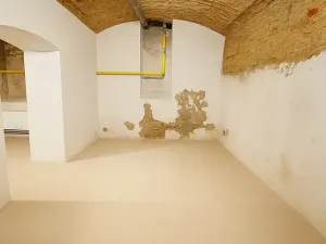 Prodej komerční nemovitosti, Praha - Břevnov, Heleny Malířové, 63 m2