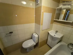 Pronájem bytu 1+kk, Děčín, Želenická, 25 m2