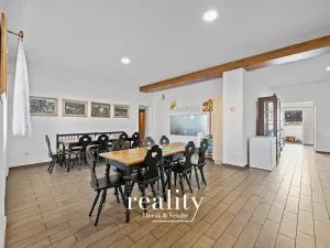 Prodej vícegeneračního domu, Dobšice, Lahoferova, 797 m2