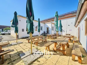 Prodej vícegeneračního domu, Dobšice, Lahoferova, 797 m2