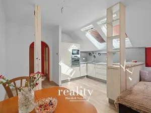 Prodej vícegeneračního domu, Dobšice, Lahoferova, 797 m2