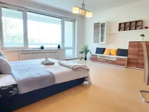 Pronájem bytu 1+kk, Brno, Šemberova, 51 m2
