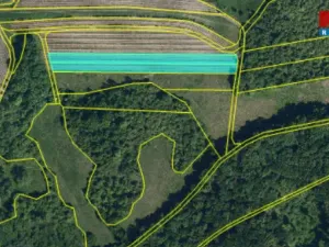 Pronájem pole, Horní Věstonice, 4000 m2