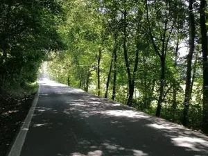 Pronájem chaty, Ostrava, Staroveská, 22 m2