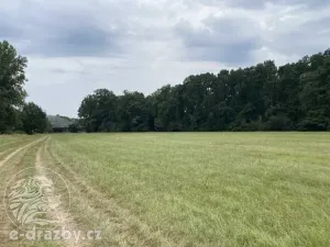 Dražba pole, Oseček, 83999 m2