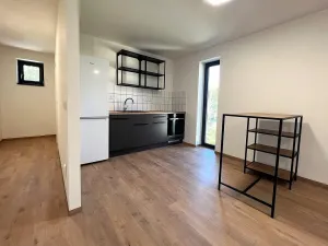 Pronájem bytu 2+kk, Brno - Štýřice, Sovinec, 53 m2