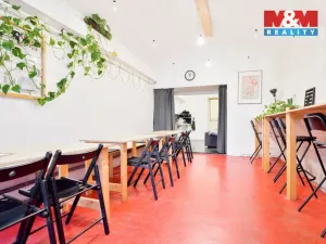 Prodej rodinného domu, Roudnice nad Labem, Náměstí Jana z Dražic, 247 m2