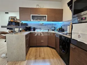 Pronájem bytu 2+kk, Opava, Ratibořská, 55 m2