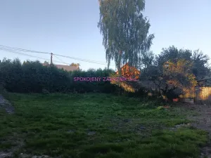 Prodej rodinného domu, Velká Bukovina, 150 m2