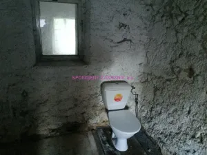 Prodej rodinného domu, Velká Bukovina, 150 m2