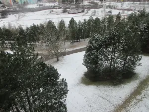 Prodej bytu 3+1, Brno, Konradova, 80 m2