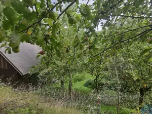 Prodej pozemku pro bydlení, Vysoké Mýto, Vinice, 1447 m2