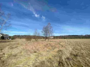 Prodej pole, Aš - Nový Žďár, 3300 m2