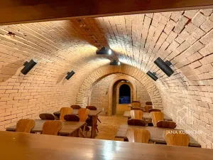 Pronájem ubytování, Valtice, Josefská, 251 m2