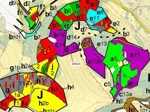 Dražba lesa, Český Dub, 2709 m2
