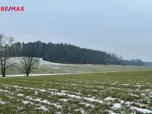 Prodej lesa, Ostřetín, 21595 m2