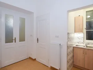 Pronájem bytu 2+kk, Praha - Vinohrady, Mánesova, 59 m2