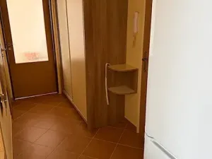 Pronájem bytu 2+1, Písek, 59 m2