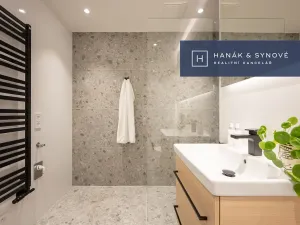 Pronájem bytu 1+kk, Brno, Cejl, 27 m2