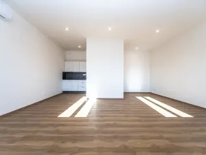 Pronájem bytu 1+kk, Praha - Nové Město, Lípová, 48 m2
