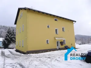 Pronájem bytu 1+1, Děčín, Družstevní, 37 m2