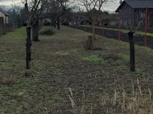 Prodej zahrady, Břeclav, Letiště, 1429 m2