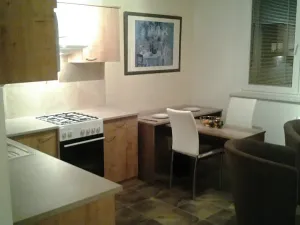 Pronájem bytu 1+1, Brno, Žitná, 34 m2