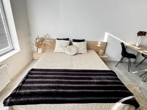 Pronájem bytu 1+kk, Pardubice, Pod Vinicí, 33 m2