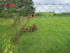 Prodej chalupy, Stará Červená Voda, 130 m2