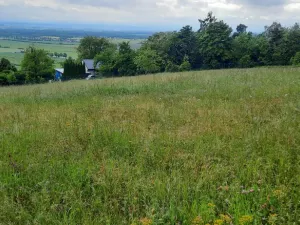 Prodej pole, Olomouc - Droždín, 1419 m2