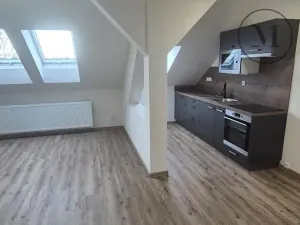 Pronájem bytu 2+kk, České Budějovice, Novohradská, 53 m2