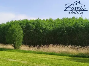 Prodej sadu/vinice, Kačice, K zahradě, 43712 m2