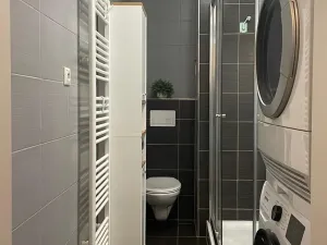 Pronájem bytu 1+kk, České Budějovice, Otakarova, 26 m2