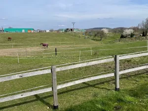 Prodej pozemku pro bydlení, Ptýrov, 1057 m2