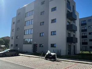 Pronájem bytu 1+kk, Heřmanova Huť, U Pondu, 34 m2