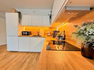 Pronájem bytu 2+kk, Praha - Holešovice, Jankovcova, 79 m2