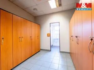 Prodej výrobních prostor, Slavičín, 714 m2