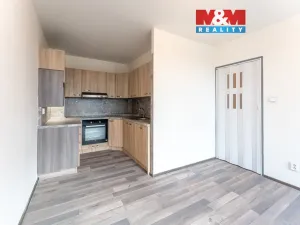 Prodej bytu 1+kk, Brandýs nad Labem-Stará Boleslav - Brandýs nad Labem, Vrbová, 30 m2