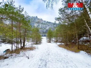 Prodej lesa, Rabí, 28273 m2