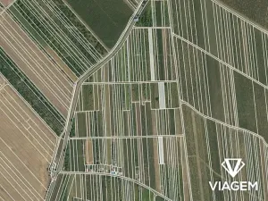 Prodej podílu pole, Moravský Žižkov, 1427 m2