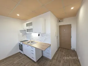 Pronájem bytu 1+1, Chomutov, Kamenná, 35 m2