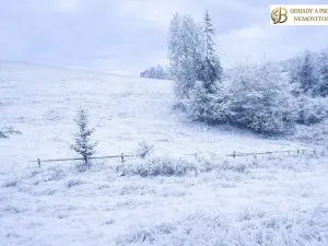 Prodej louky, Dlouhomilov, 7512 m2