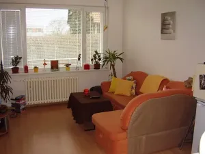Pronájem bytu 1+kk, Liberec, Hroznová, 28 m2