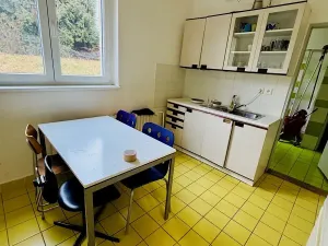 Pronájem výrobních prostor, Brno, Ječná, 189 m2