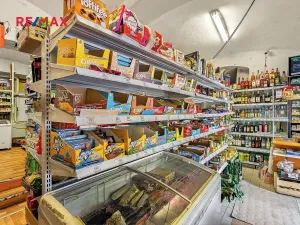 Prodej rodinného domu, Kostelec nad Černými lesy, Pražská, 250 m2